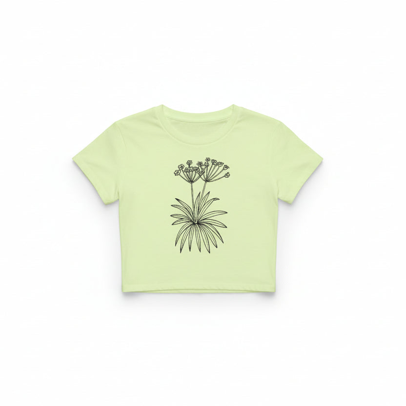 Pastel Green Raglan Cropped T-shirt