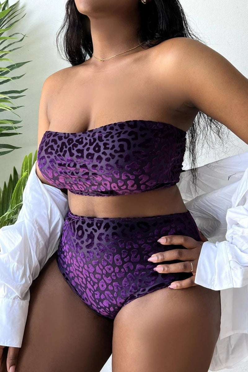 Leopard Print Bandeau Bikini Set | Plus Size Women's Swimwear