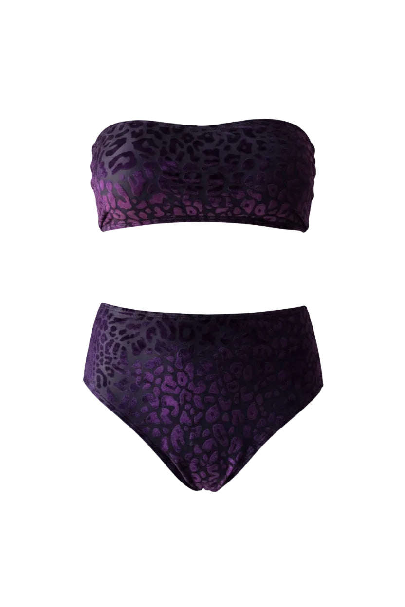 Leopard Print Bandeau Bikini Set | Plus Size Women's Swimwear